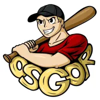 pol baseball haute vienne